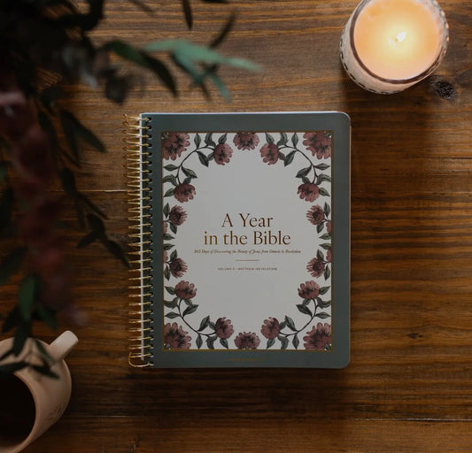 A Year in the Bible 365 Days of Discovering the Beauty of Jesus from Genesis To Revelation | Volume 4