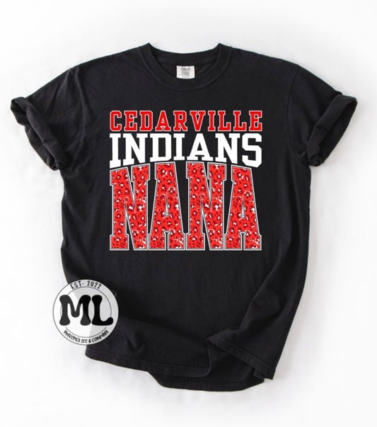 Cedarville Indians Nana Cheetah