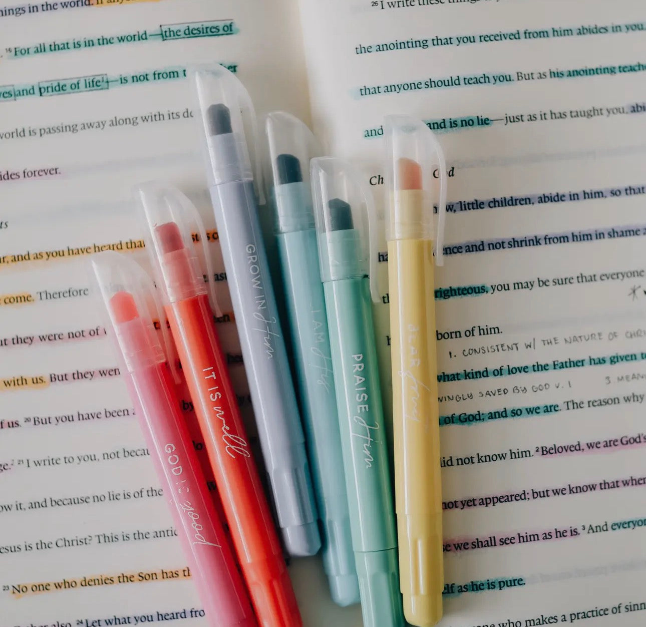 Pastel Bible highlighter set ￼
