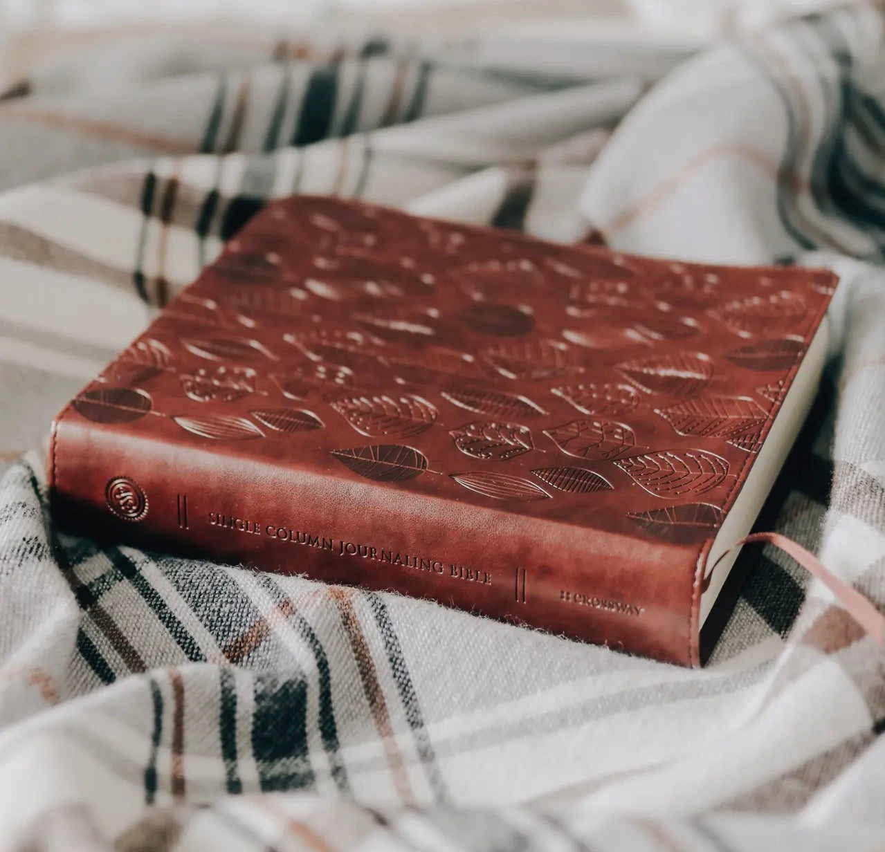 Esv Single Column Journaling Bible -
Chestnut Leaves