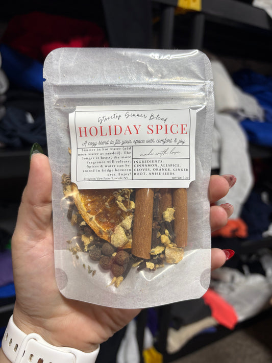 Holiday Spice simmer pot - in stock