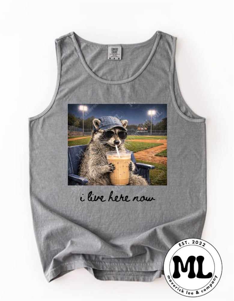 I live here now – baseball