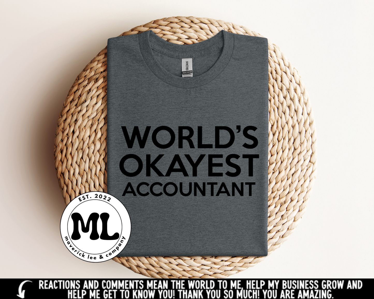 Worlds okayest Accountant